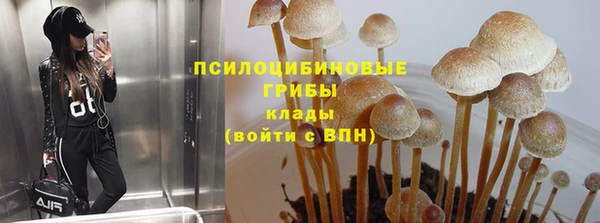 мескалин Аркадак