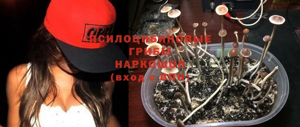 ECSTASY Армянск