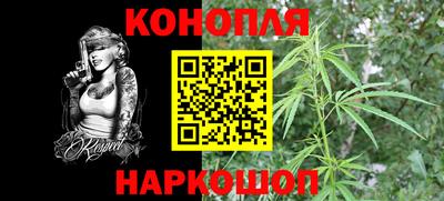 стафф Можга