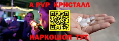 Альфа ПВП Моздок