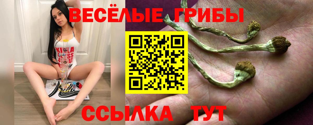 Псилоцибиновые грибы MAGIC MUSHROOMS  Галлюциногенные грибы Cubensis  Вход с VPN  Балашиха 
